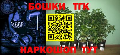 спиды Будённовск
