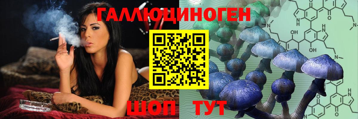 Псилоцибиновые грибы GOLDEN TEACHER Мончегорск