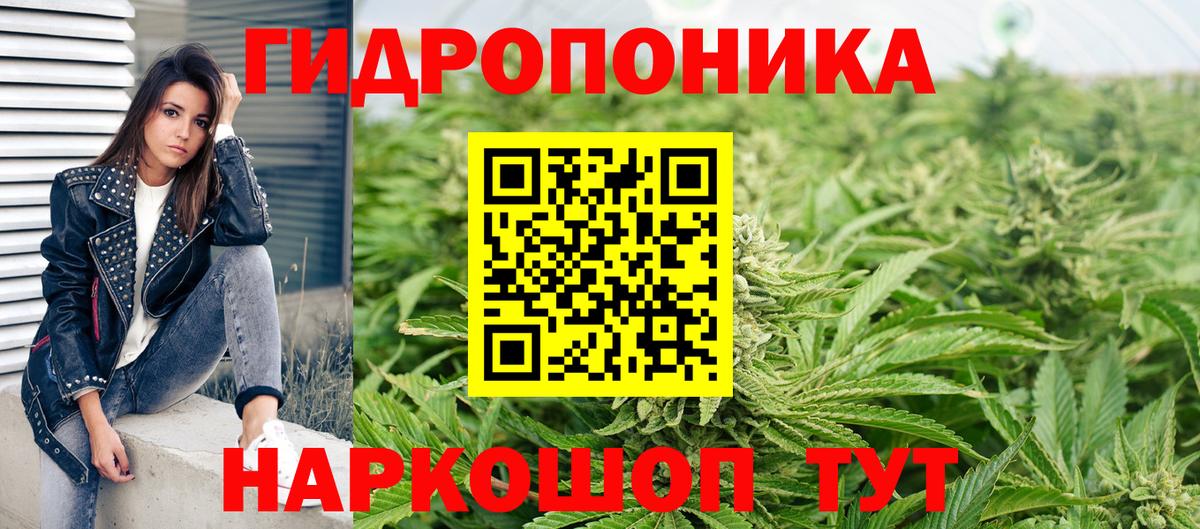 Бошки марихуана сатива Мончегорск